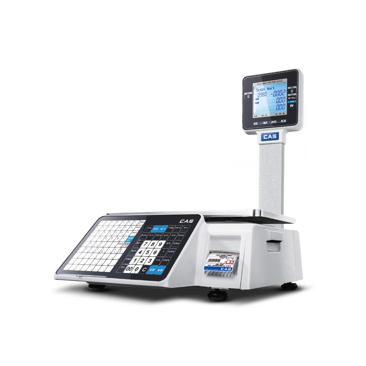 CAS CL 3000 